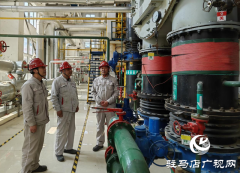 <b>恢复绿化面积30余万平方</b>