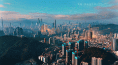 务精英自住或投资